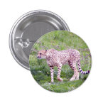 Cheetah Pin