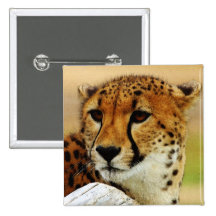 Cheetah Pins