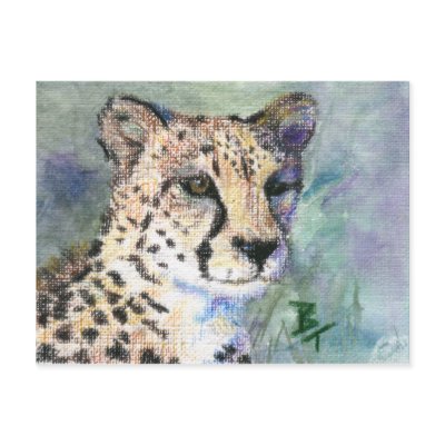 Cheetah Portrait aceo Postcard by bmthour