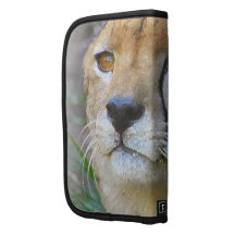 cheetah portrait folio planners