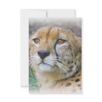 Cheetah portrait personalized invites