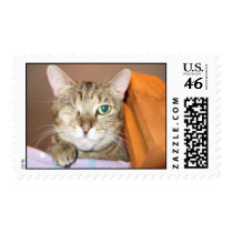 CHEETAH postage by rimamaria CHEETAH postage