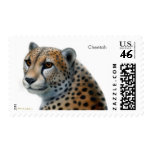 Cheetah Postage