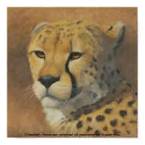 Cheetah posters