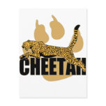 Cheetah Power Post Card