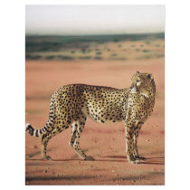 Cheetah Prints Stationary Letterhead Design