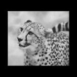Cheetah profile canvas prints