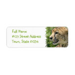 Cheetah Return Address Mailing Label