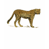 Cheetah Safari Moss green Ladies T t-shirts