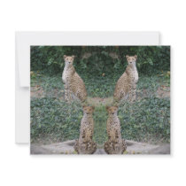CHEETAH - SEEING DOUBLE invitations