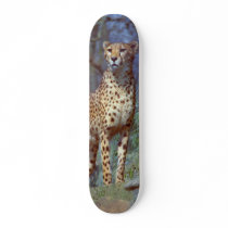 Cheetah Skateboard by buffaloworks Cheetah Skateboard