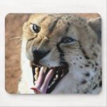 Cheetah Snarl Mouse Pads