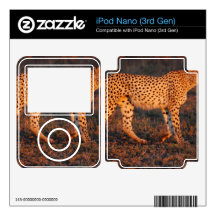 Cheetah South Africa at Sunset iPod Nano 3G Skin