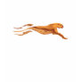 Cheetah Speed Tee Shirt