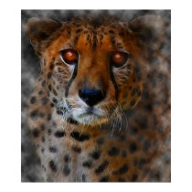 ~* Cheetah Spirit *~ Big Cat Poster Print by MidnightDreamer ~* Cheetah Spirit *~ Big Cat Poster Print
