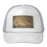 Cheetah Spots Baseball Hat