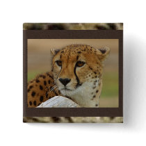 Cheetah Square Button