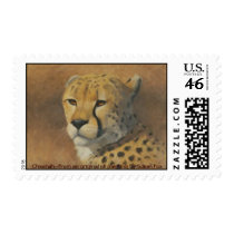 Cheetah stamps