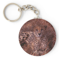 Cheetah Stare Keychain