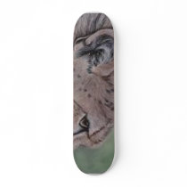 Cheetah staring down prey skateboards by sloeart Cheetah staring down prey skateboards
