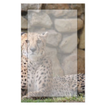 Cheetah Stationery