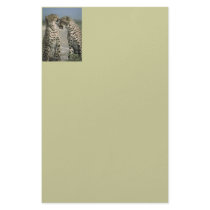 Cheetah Stationery