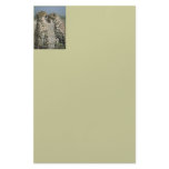 Cheetah Stationery
