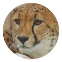 Cheetah Sticker by MzLisaMichelle Cheetah Sticker