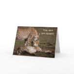 Cheetah Sweet Kiss Greeting Card