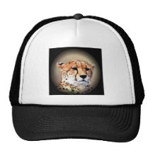 Cheetah Tear Marks Hakunamatata.png Mesh Hat