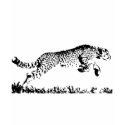 Cheetah t-shirts
