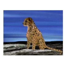 Cheetah under the blue sky postcard