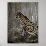 Cheetah Wildlife Art Print