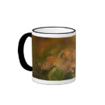 Cheetah World Mug