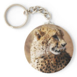 Cheetahs beauty in Africa Keychains