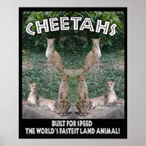 CHEETAHS - BUILT FOR SPEED PRINT