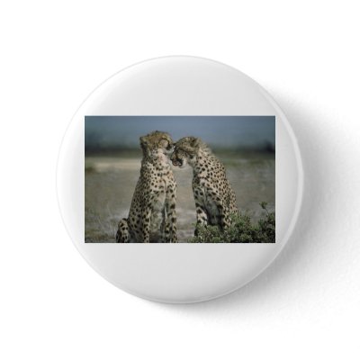 cheetahs button by kathiscc