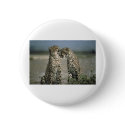 cheetahs buttons