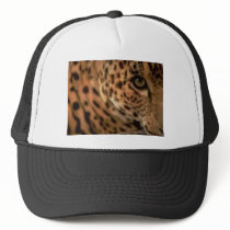 Cheetahs eye hats by PetsRFouRLife Cheetahs eye hats
