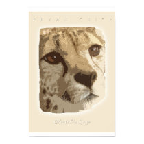 Cheetah's Gaze Photo Graphic Art Print by B. Crisp