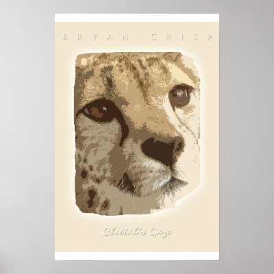 Cheetah's Gaze Photo Graphic Art Print by B. Crisp by jesterbryanc