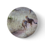 Cheetahs in Namibia Button