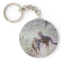 Cheetahs in Namibia Key Chains