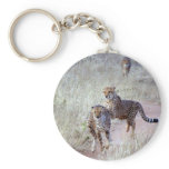 Cheetahs in Namibia Key Chains