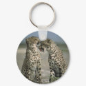 cheetahs keychains