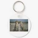 cheetahs keychains