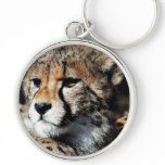 Cheetahs Key Chains