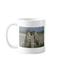 cheetahs mugs by kathiscc cheetahs mugs