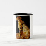 Cheetahs stance mug