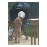 Chef Bella Greeting Card